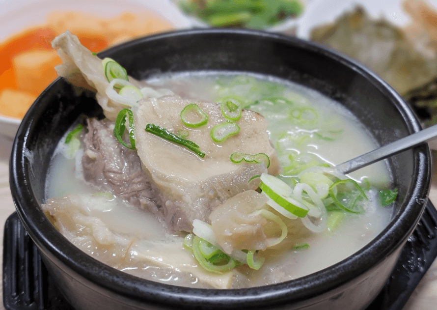 토밥 토요일은 밥이 좋아 경주 한우꼬리도가니찜 한우꼬리곰탕 맛집
