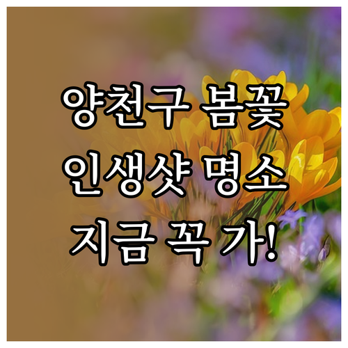 양천구 봄나들이 추천 장소 안양천 생..