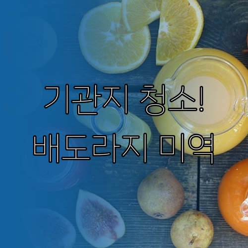 기관지 보호와 독소 배출에 좋은 배 ..