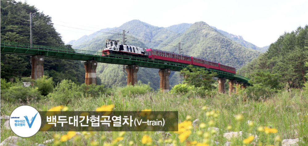 백두대간협곡열차 대표사진