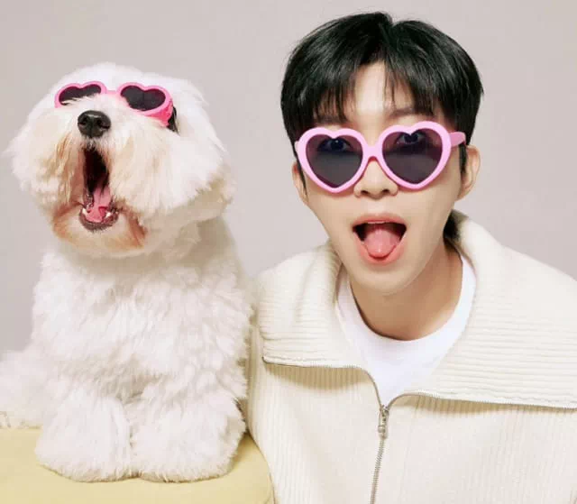 포천시 임영웅 해촉 검토 사실무근 발표