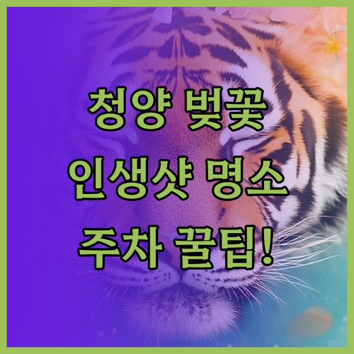 청양 벚꽃 명소 베스트 2와 쾌적한 ..