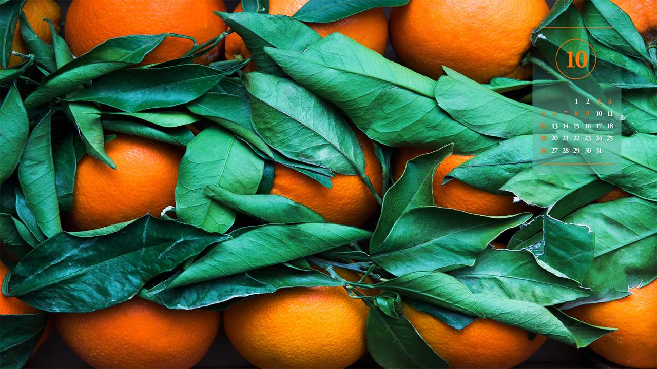 12 오렌지와 녹색 잎 A - 2025년10월 노트북배경화면