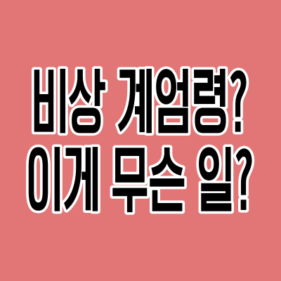 비상 계엄령이라니 이게 무슨 일?