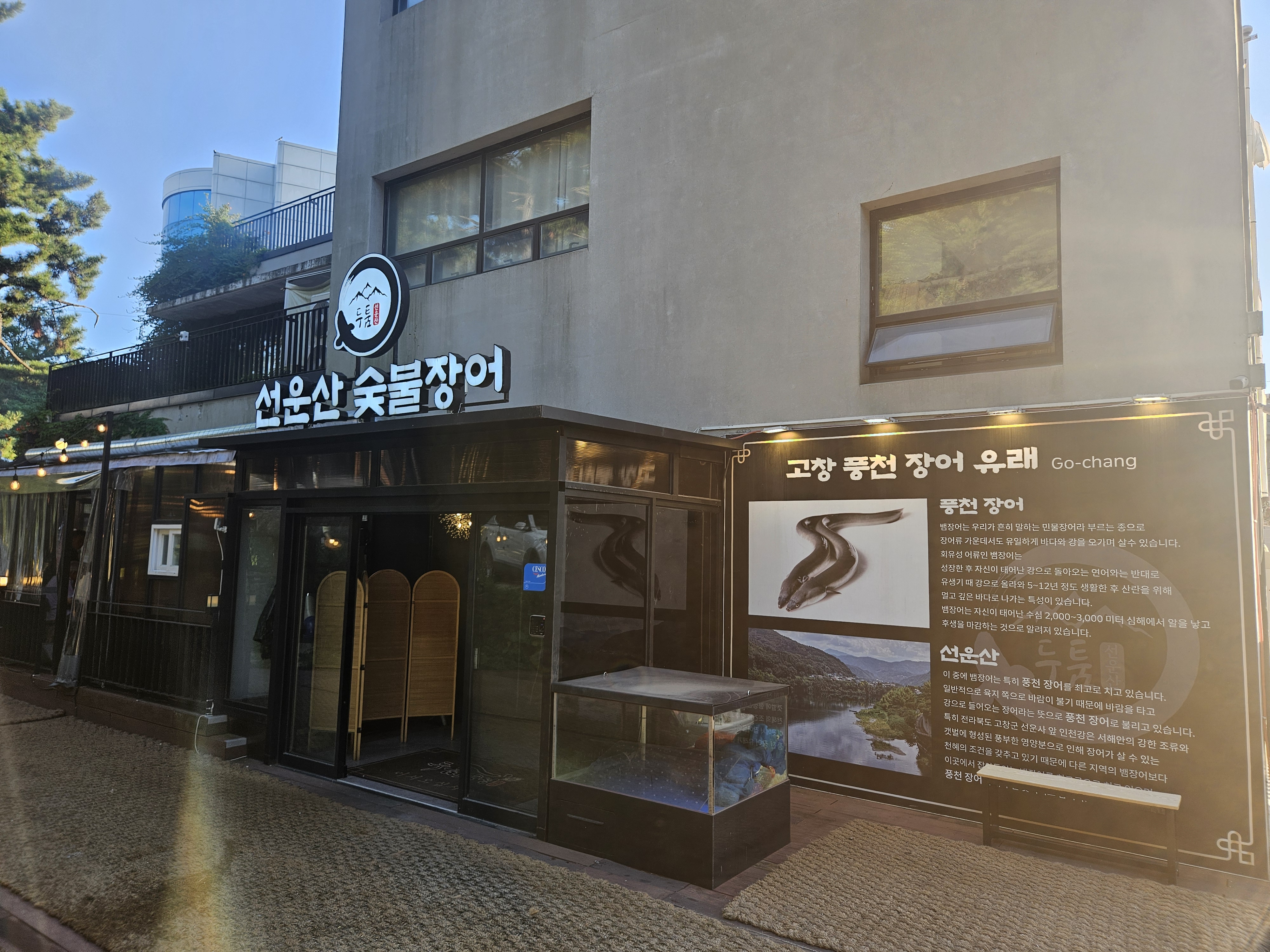 선운산송도두툼장어