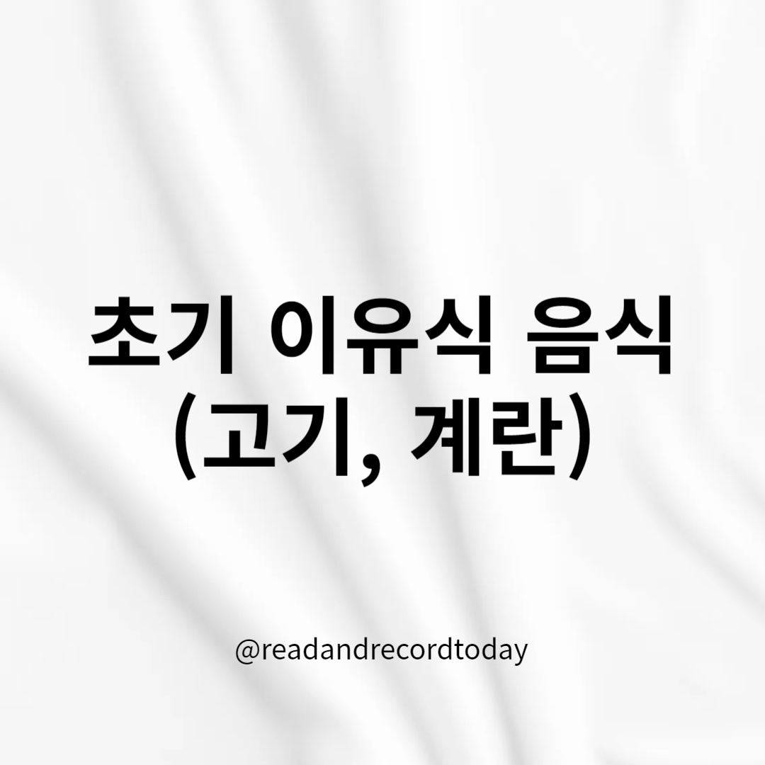 초기 이유식 음식 (고기, 계란)