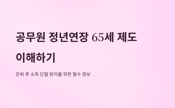 공무원정년연장65세
