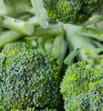 고지혈증에 좋은 음식 영양제 식단