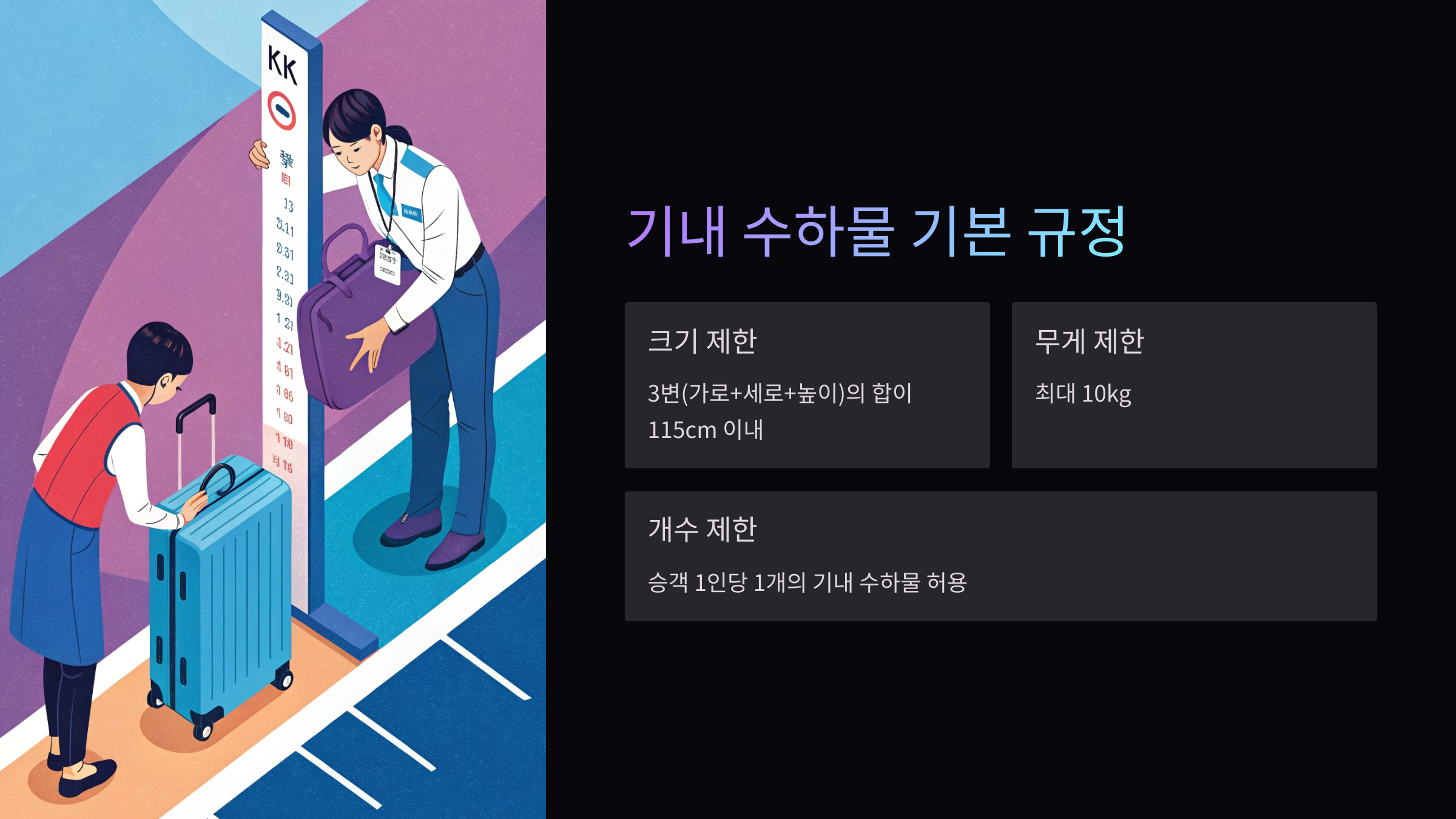 기내 수하물 기본 규정