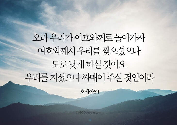 호세아6:1절 말씀 사진