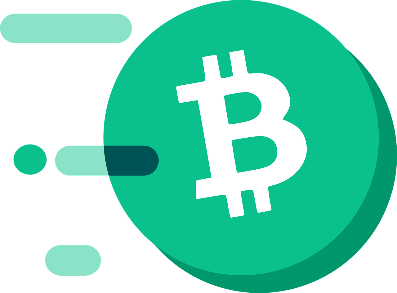 MSTR과 비트코인 관련 이미지