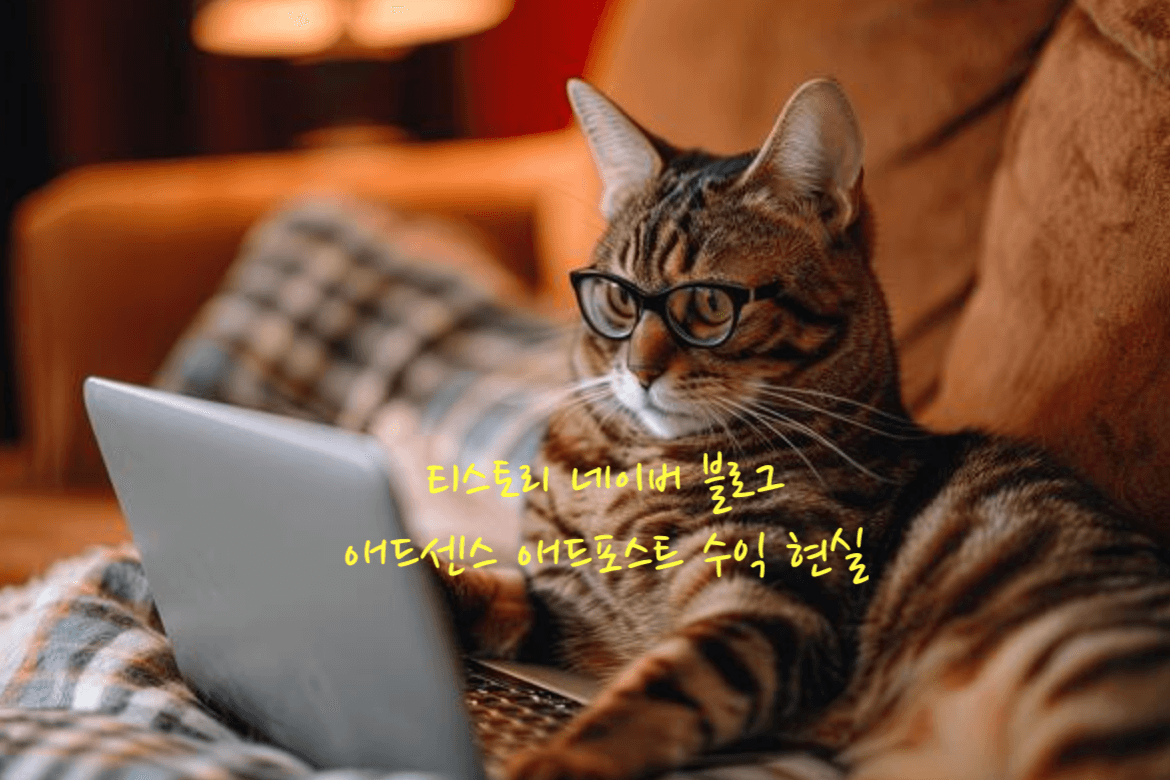 티스토리 네이버 블로그