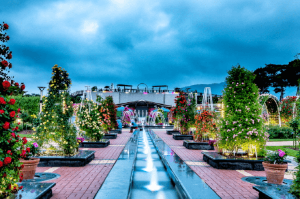 2024 곡성 세계 장미축제 