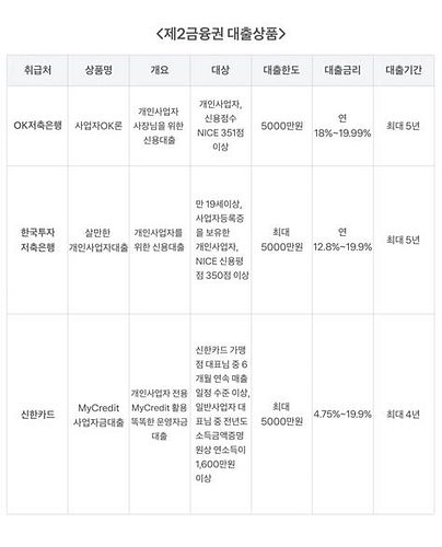 사업자 단기 대출