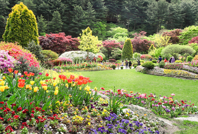 아침고요 수목원