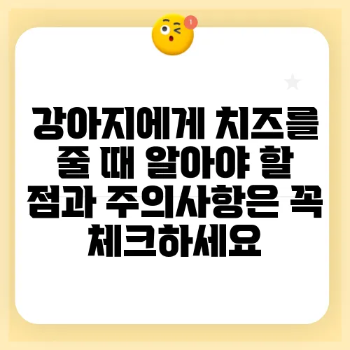 강아지에게 치즈를 줄 때 알아야 할 점과 주의사항은 꼭 체크하세요