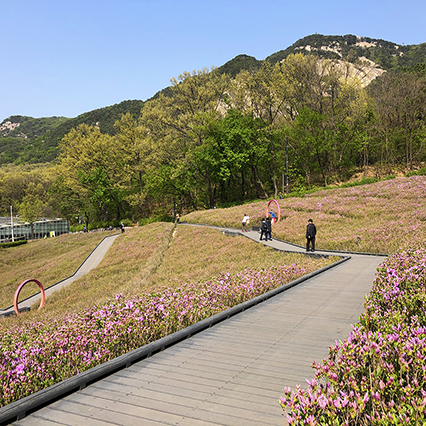 불암산나비정원 철쭉동산