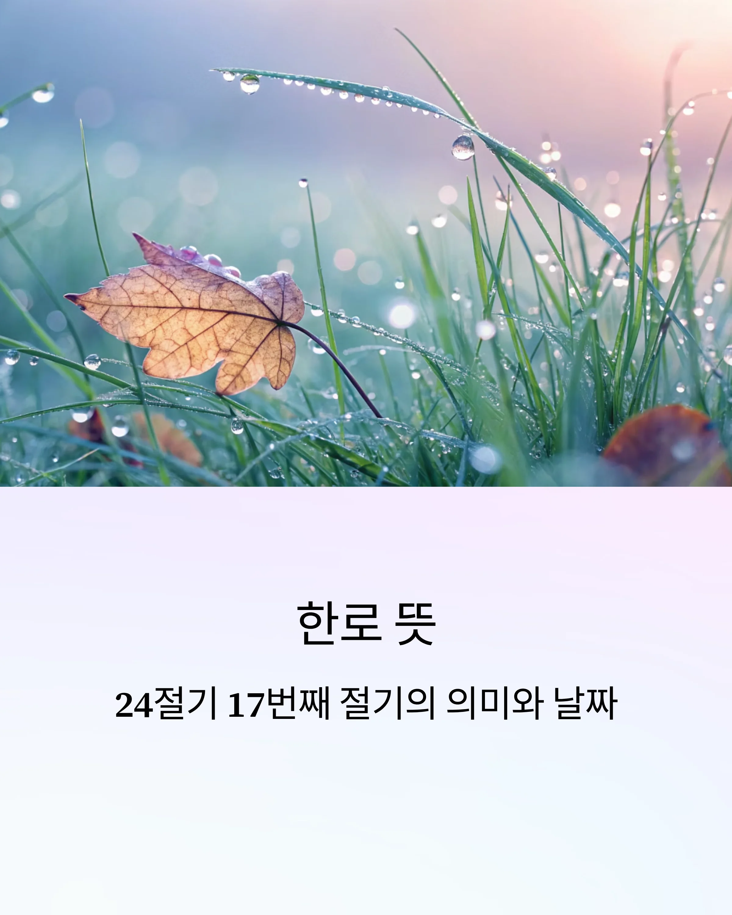 한로-뜻-24절기