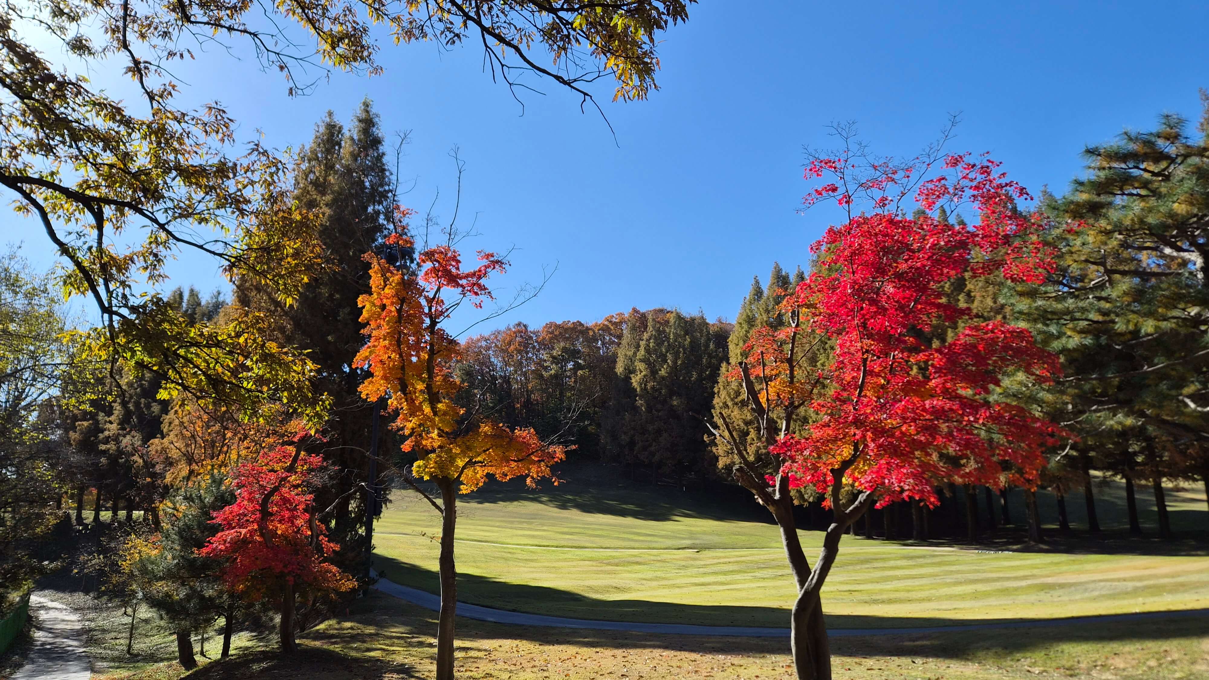 골프장 경험담 용인 한원CC 자연과 예술이 어우러진 명문 회원제 골프장