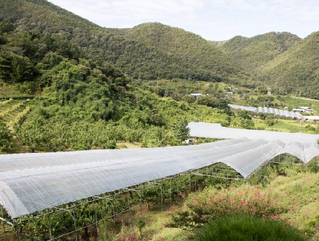 보은 가볼만한곳 베스트10