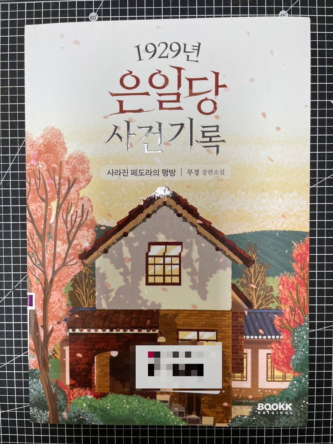 1929년 은일당 사건기록 -사라진 페도라의 행방-