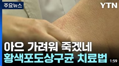 황색포도알균 / 황색포도상구균 치료법