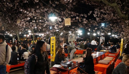 일본 벚꽃 시즌 행사