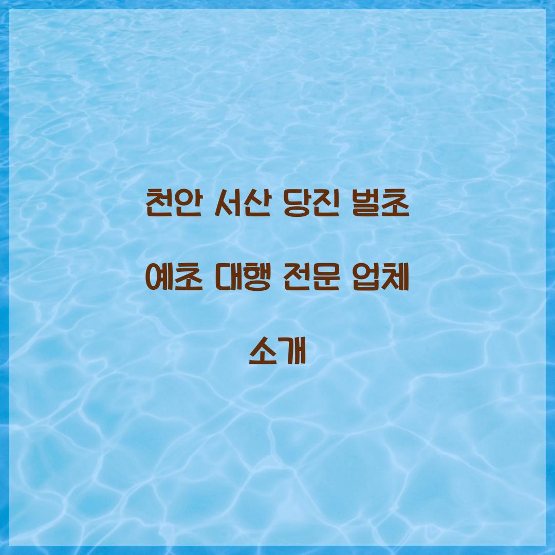 벌초 예초 대행