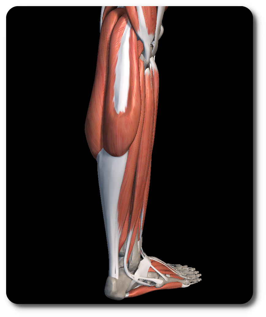 종아리 근육 통증 치료 방법