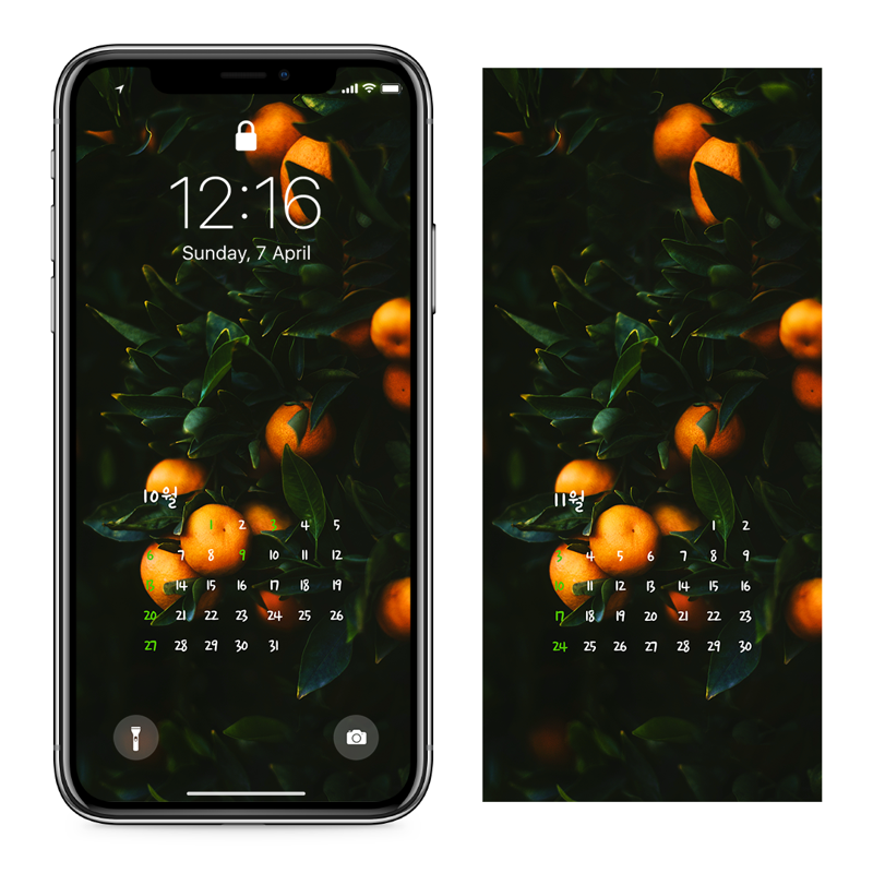 14 감귤 나무 다크 AB - 2024년10월 아이폰달력배경화면