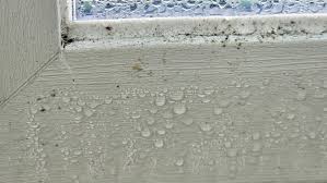 결로는 어디서 먼저 생길까? 원룸과 빌라 구조에서 7일간 비교 관찰한 결로 발생 유형