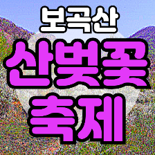 보곡산 산벚꽃 축제