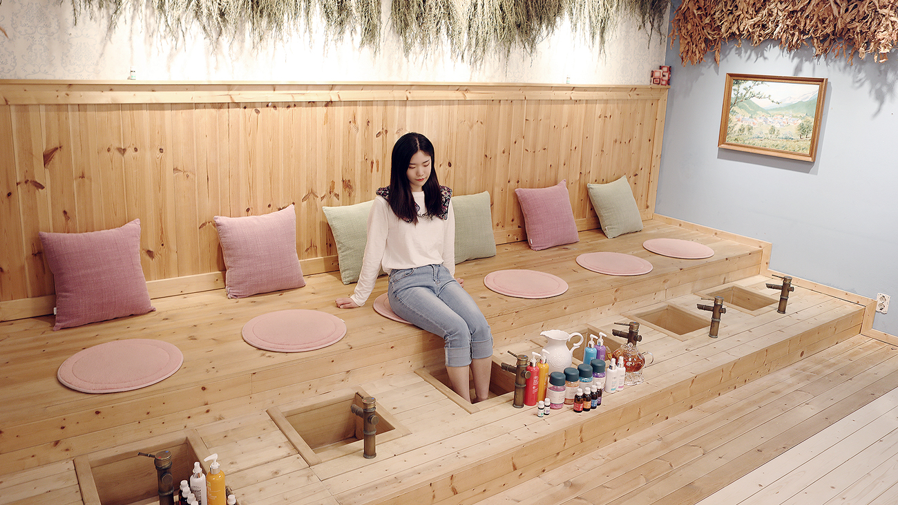 포천허브아일랜드핑크뮬리축제