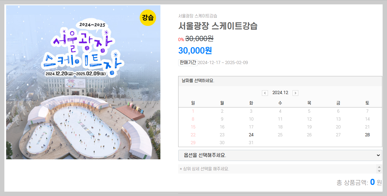 서울광장 스케이트장 강습 예매