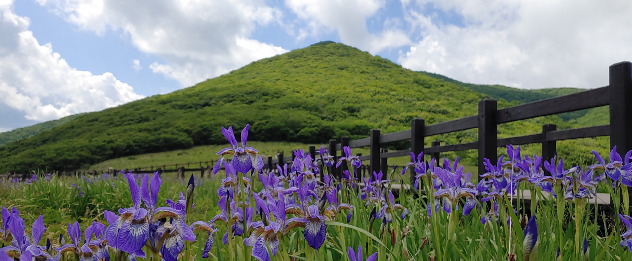 곰배령 예약하기