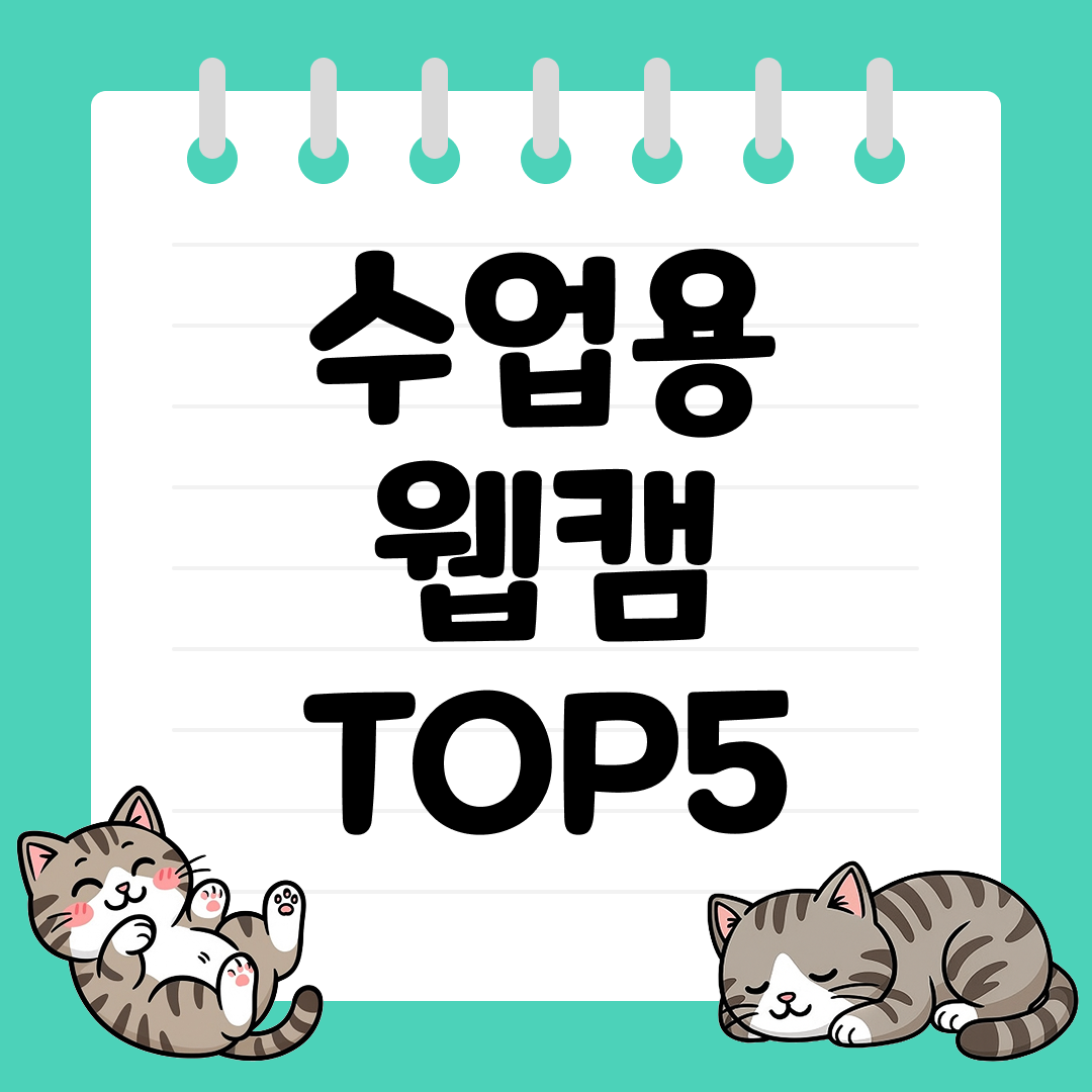 강의&middot;줌&middot;스터디 모두 완벽한 수업용 웹캠 추천 TOP5