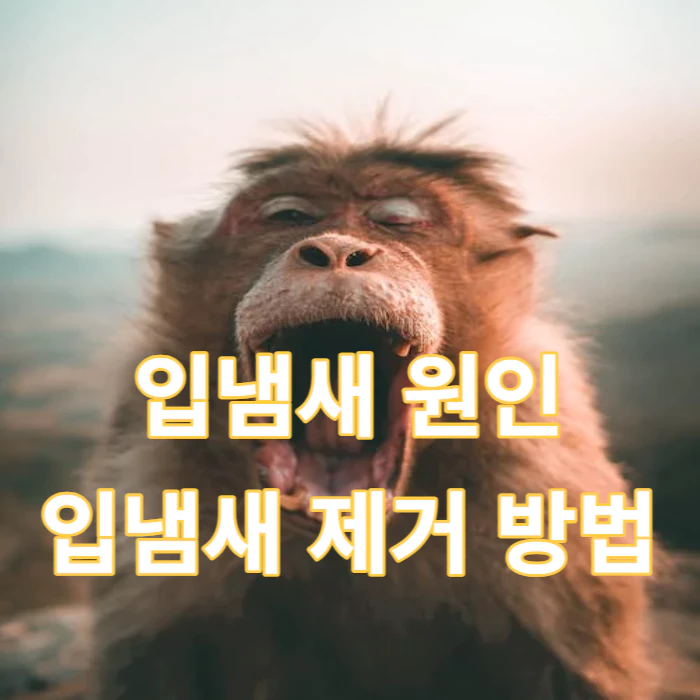 입냄새-원인-입냄새-제거-방법
