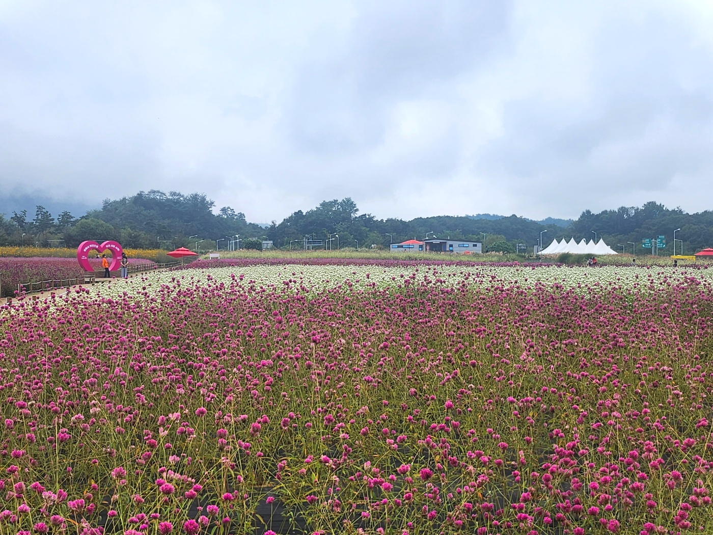 양주나리공원운영시간