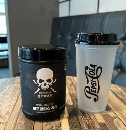 아포칼립스 퓨리 내돈내산