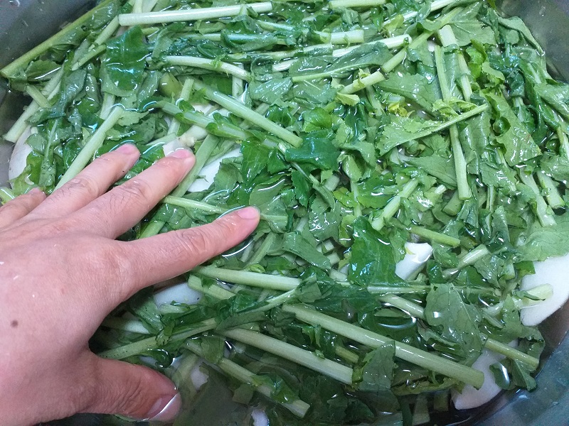 열무김치 담그는 방법