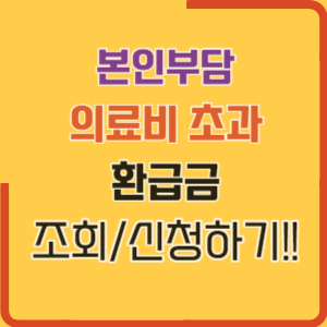 본인부담 초과 의료비 환급금 조회