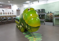 아이랑가기 좋은 곳 - 자연생태박물관 