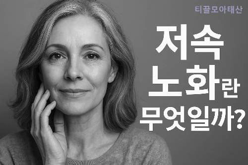 저속 노화란 무엇일까