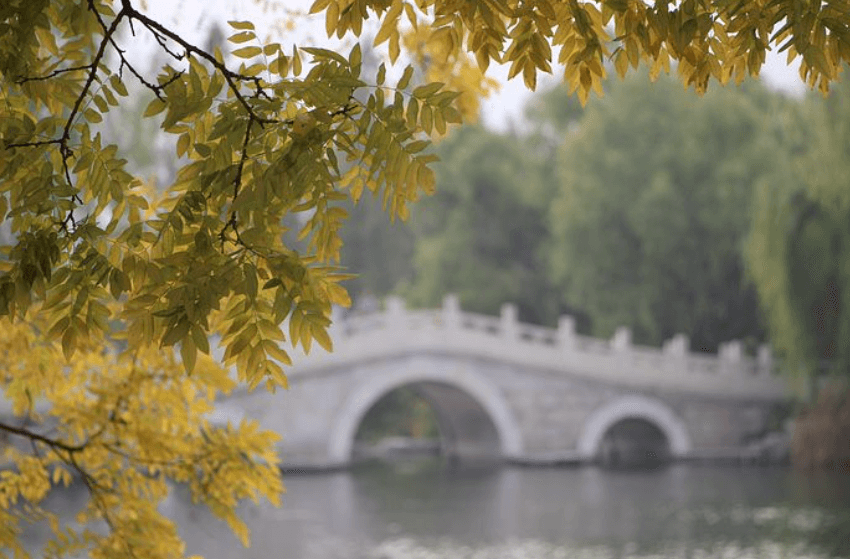 다리 건너는 꿈
다리 끊어지는 꿈