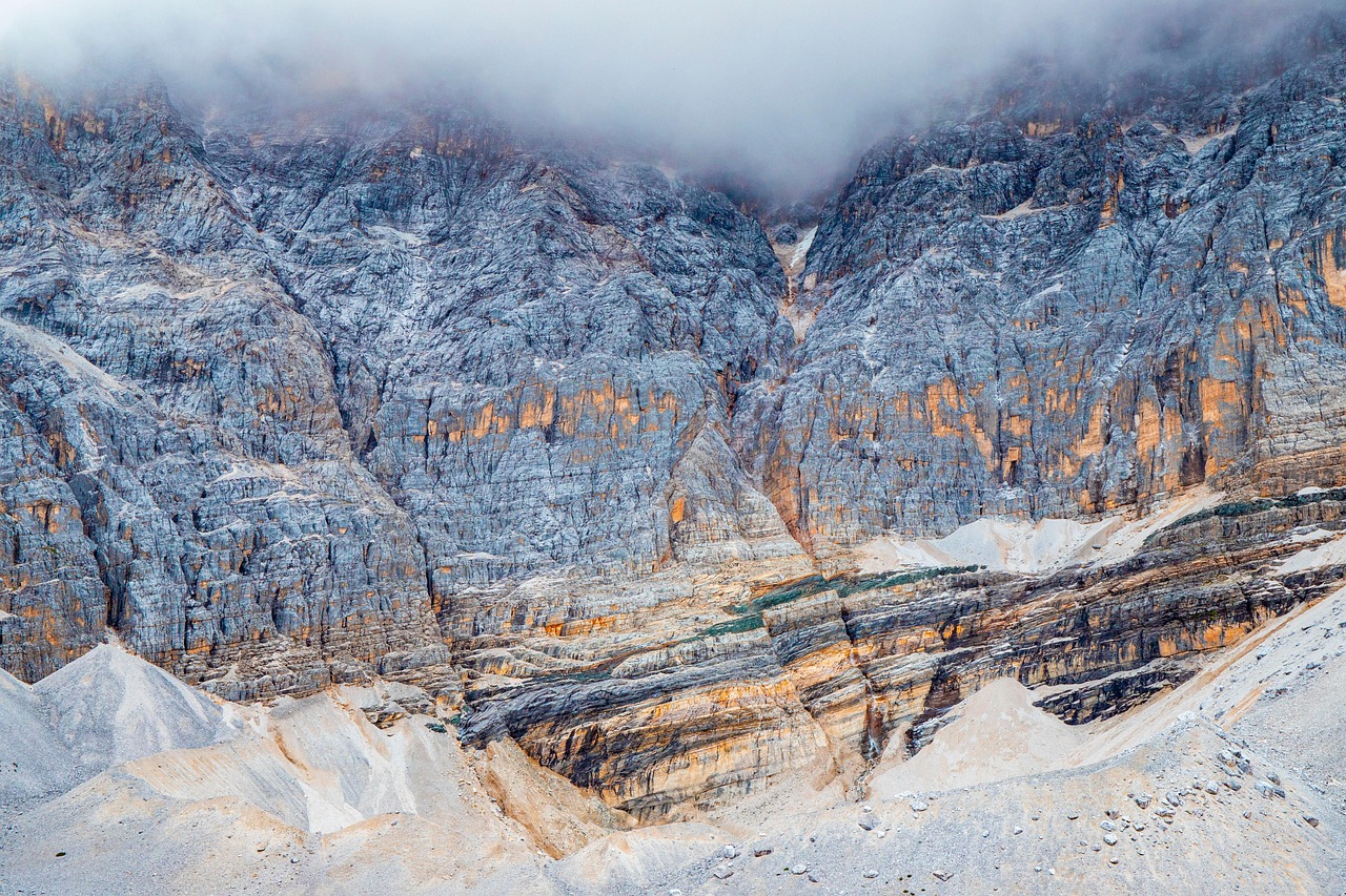 강아지 진드기약