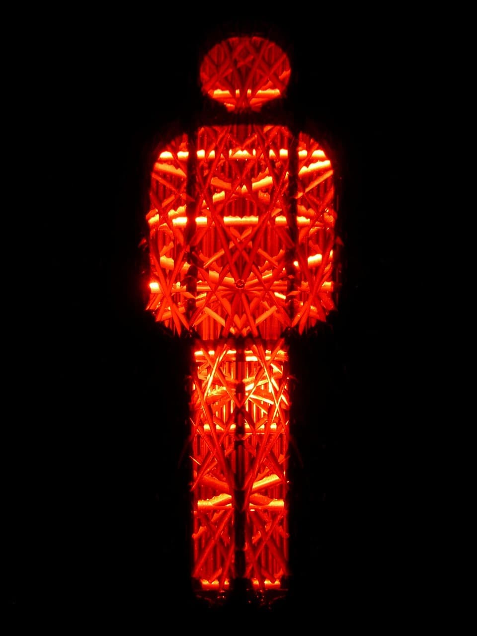 질병의 초기 신호