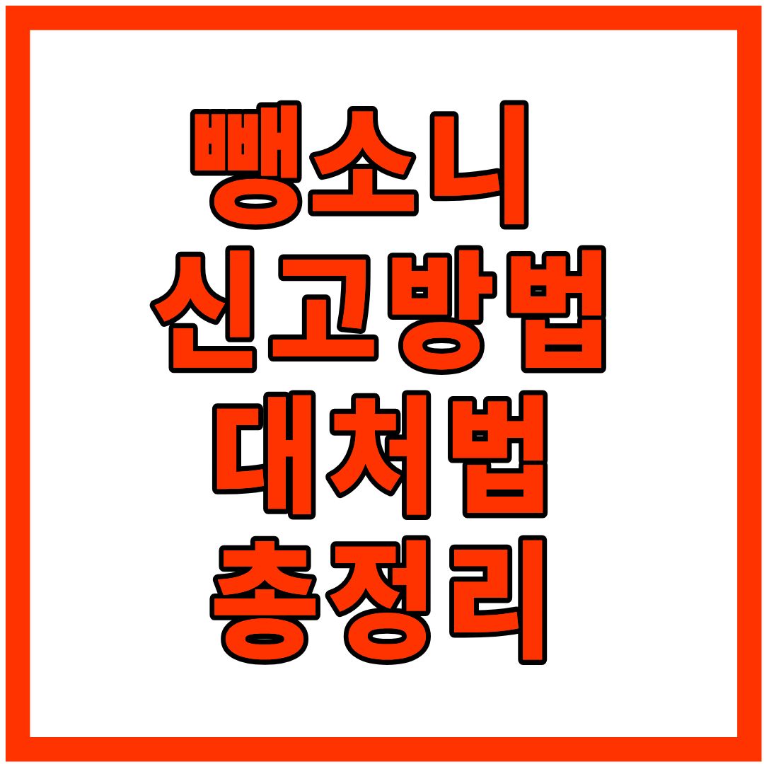 뺑소니 신고방법 및 보험처리, 사고 처벌 총정리