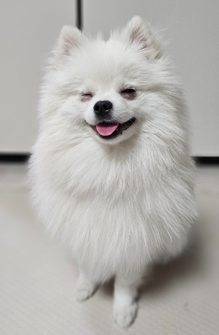 모량이 풍부한 하콩