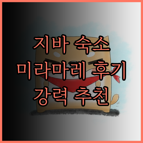 지바 숙소 추천 게이세이 호텔 미라마