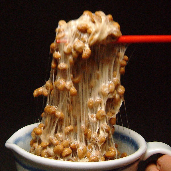 나또 저어 들어올리는 모습